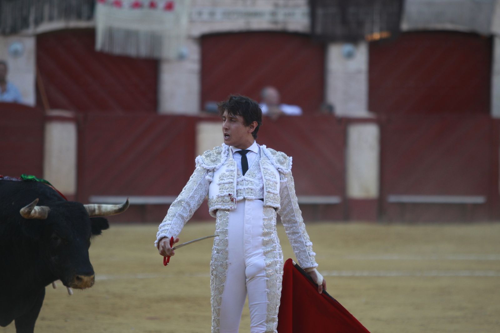 Imágenes del triunfo del torero almeriense Jorge Martínez el día de su alternativa