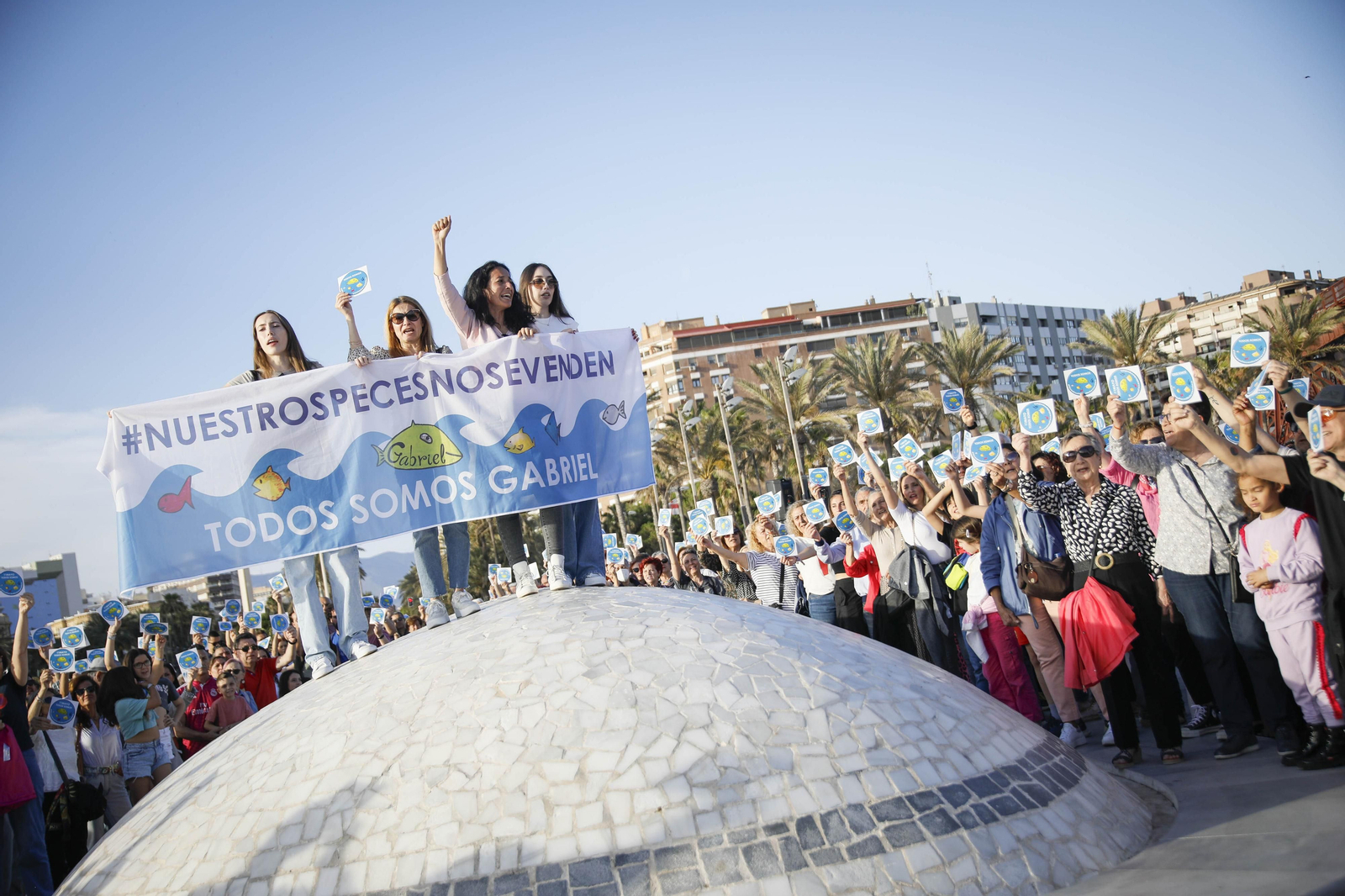 Nuestros peces no se venden, en imágenes