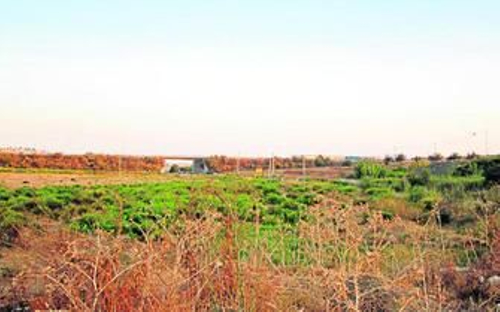 Los terrenos donde se proyecta el Centro Logístico.