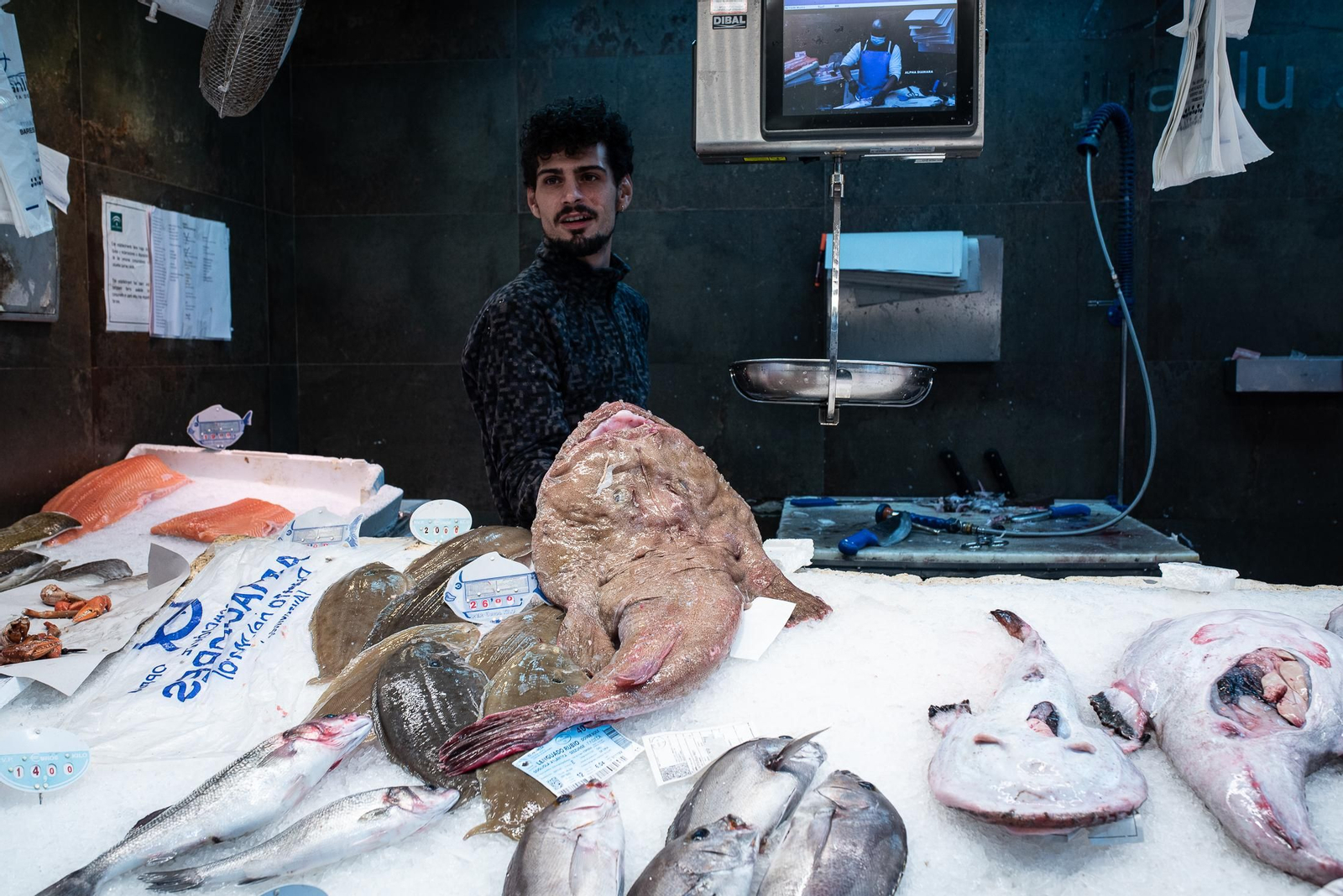 Las últimas compras en el Mercado del Carmen antes de Navidad, en imágenes