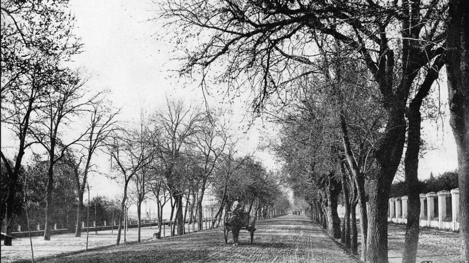 Fotografía antigua del Paseo de las Delicias.