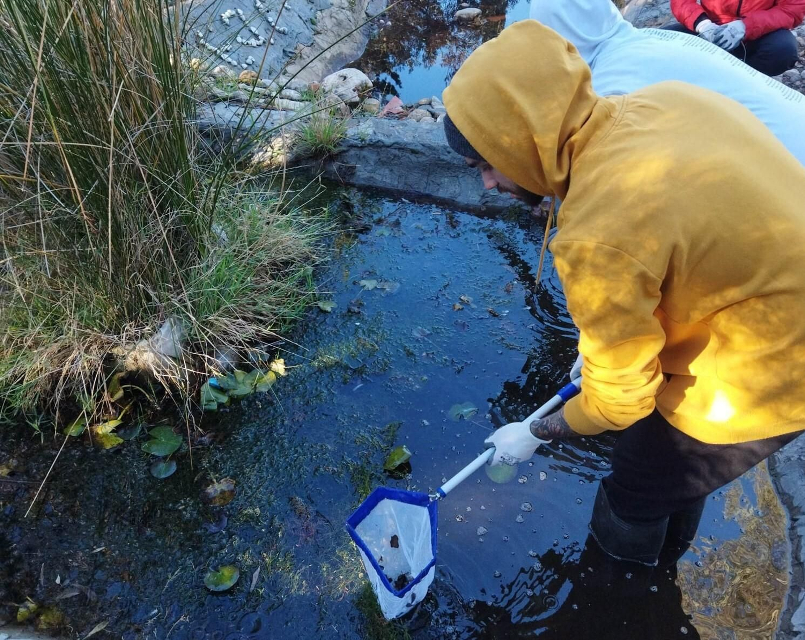 Participante colaborando con la limpieza del río