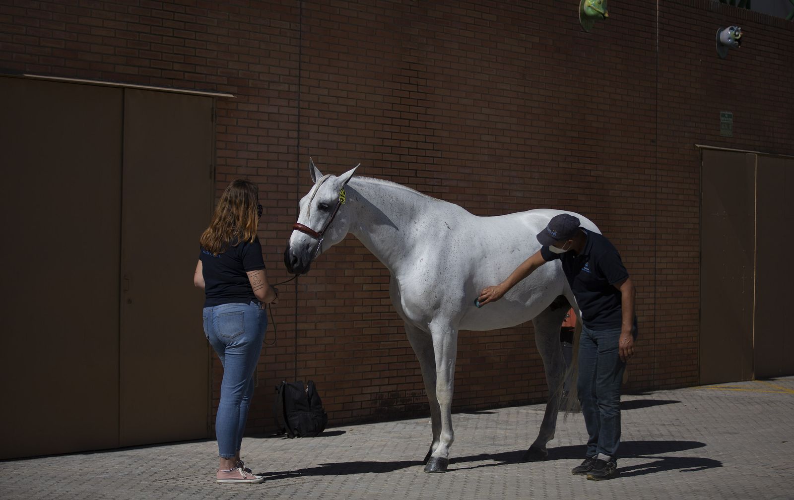 Imágenes de Sicab 2020 en la reanudación de las pruebas en Fibes