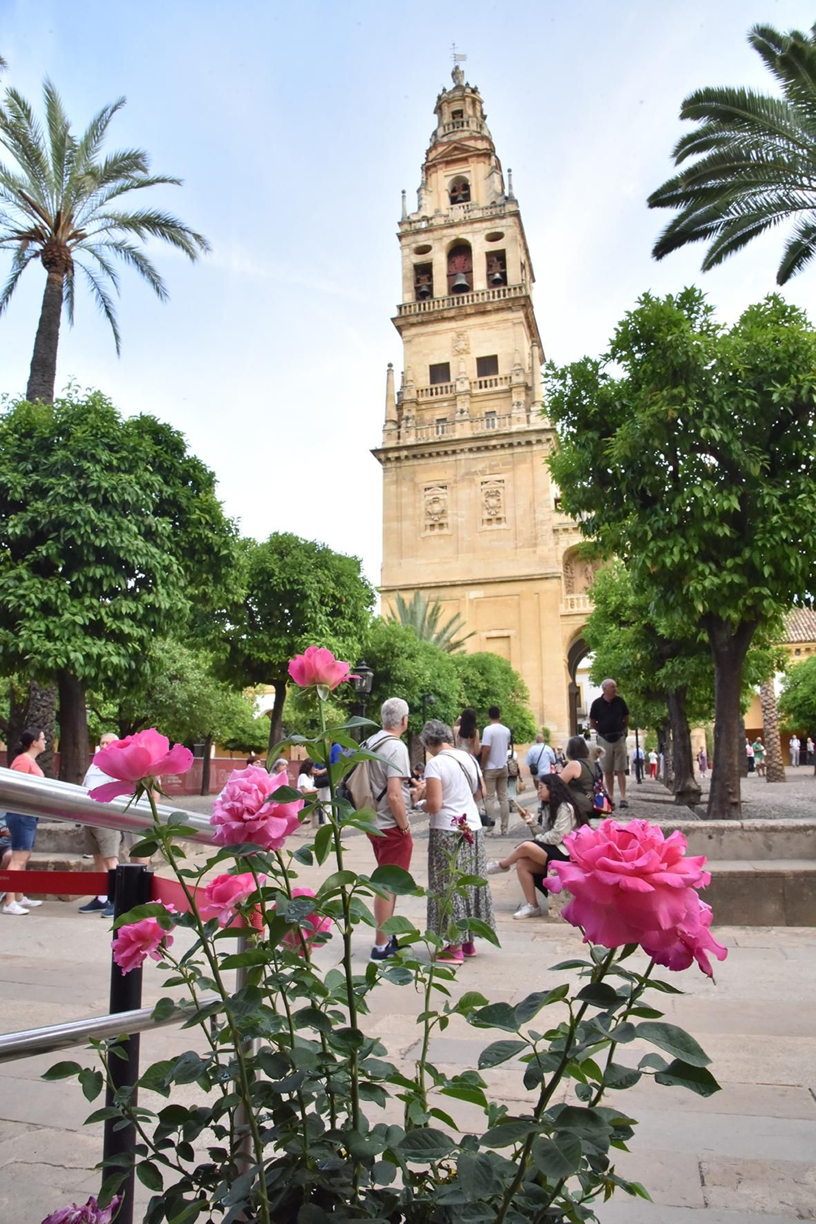 La nueva ornamentación floral del Patio de los Naranjos de la Mezquita de Córdoba, en imágenes