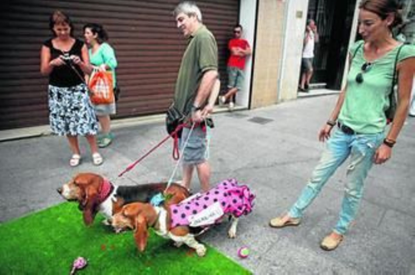 Varios de los perros pasean por las calles de Ronda.