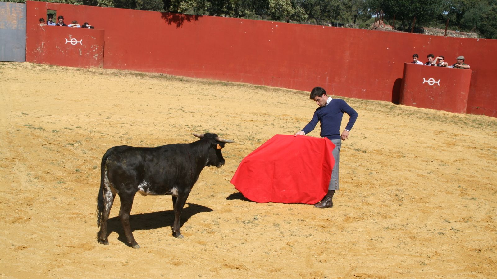 Un momento del tentadero.