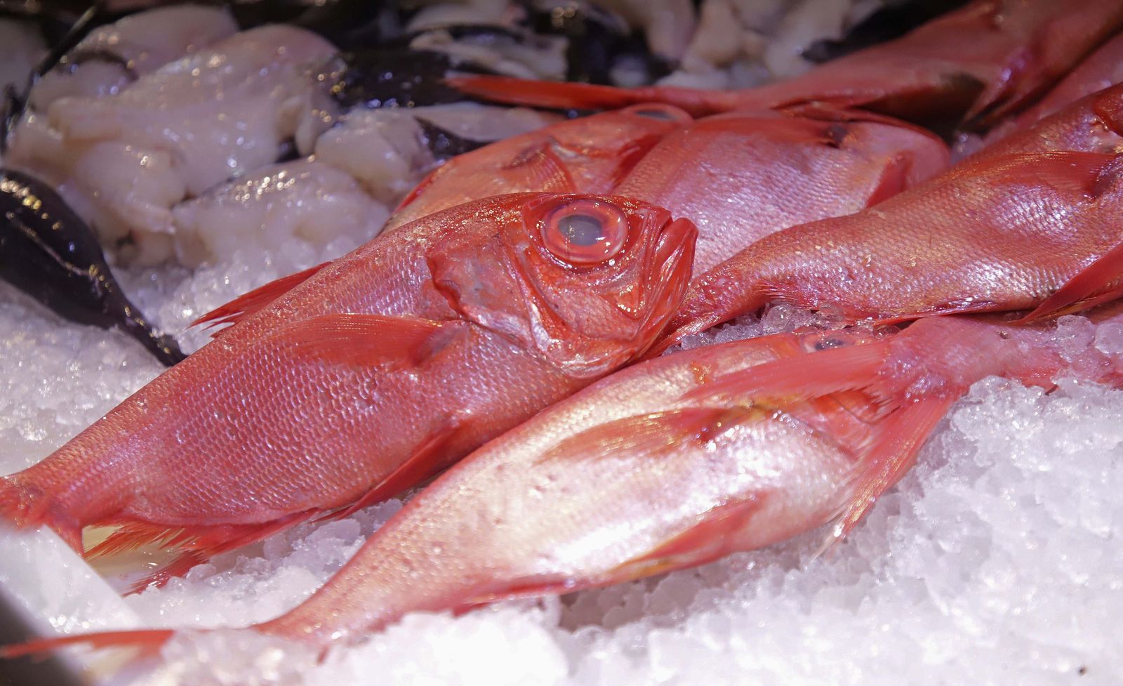 Fotos de las últimas compras para la cena de Nochebuena en Algeciras