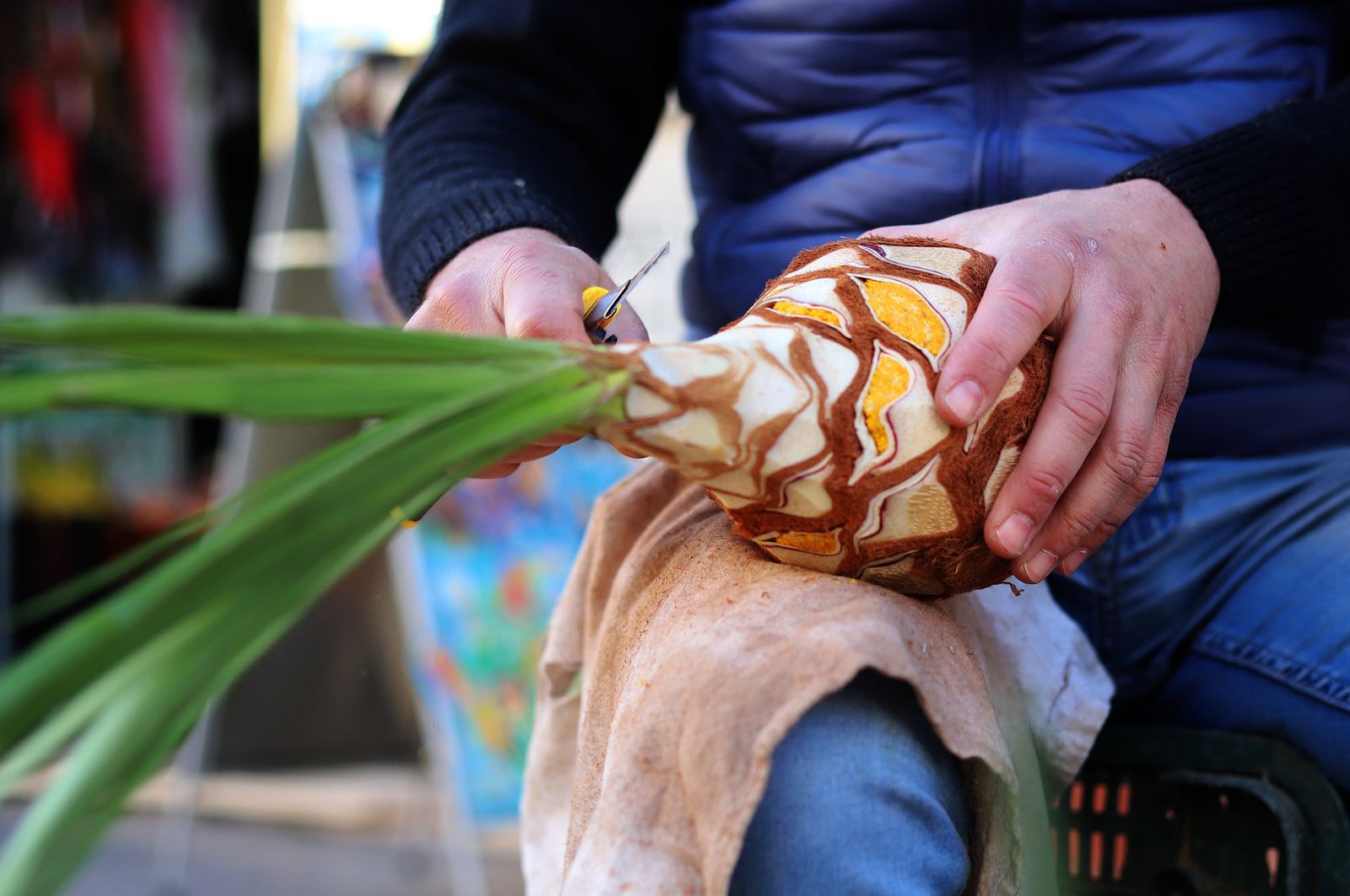 Imágenes de los Palmitos de San Sebastián