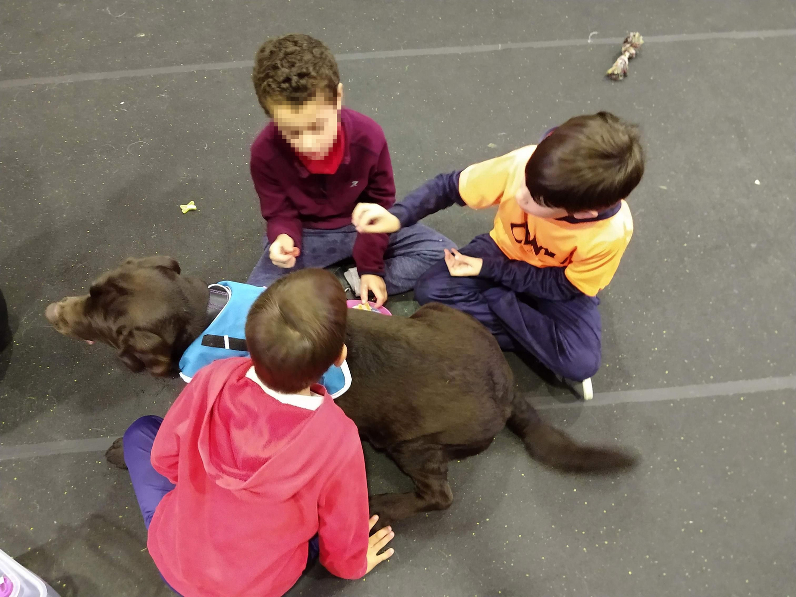 d. s.  Una sesión terapéutica con Boro, un labrador, que favorece el aprendizaje de los niños, en la sede de la Asociación Evolucan, en Mairena del Alcor.
