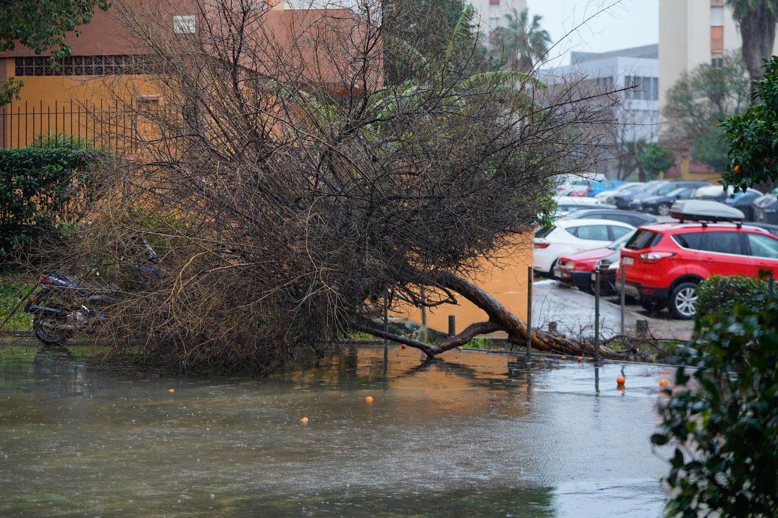 Fotos de las lluvias de la borrasca Leonardo este miércoles en Algeciras