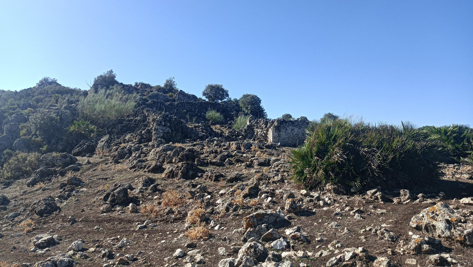 Fotos del ascenso al Pico del Terril