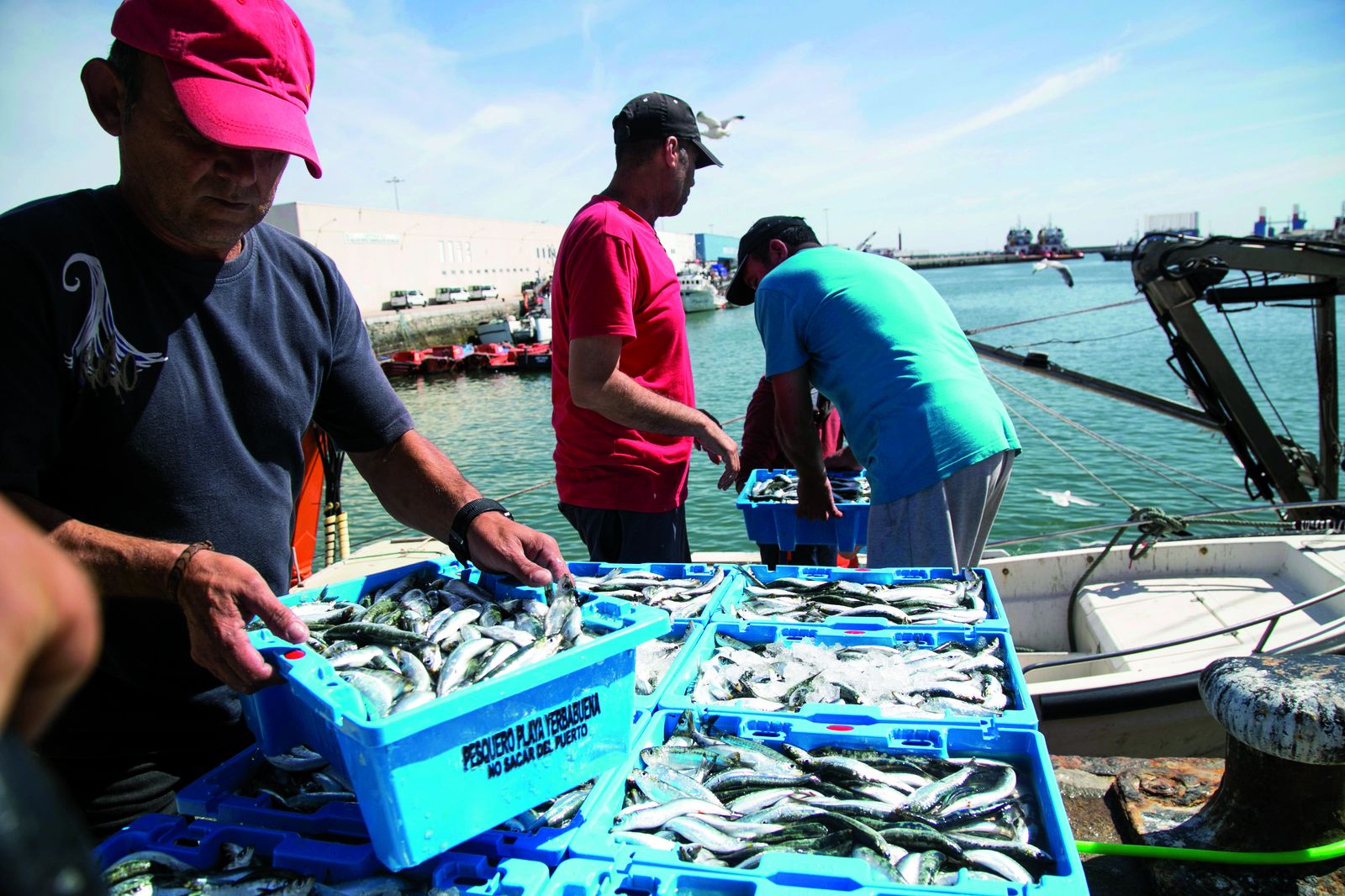 El Puerto de la Bahía de Cádiz, primer pesquero andaluz