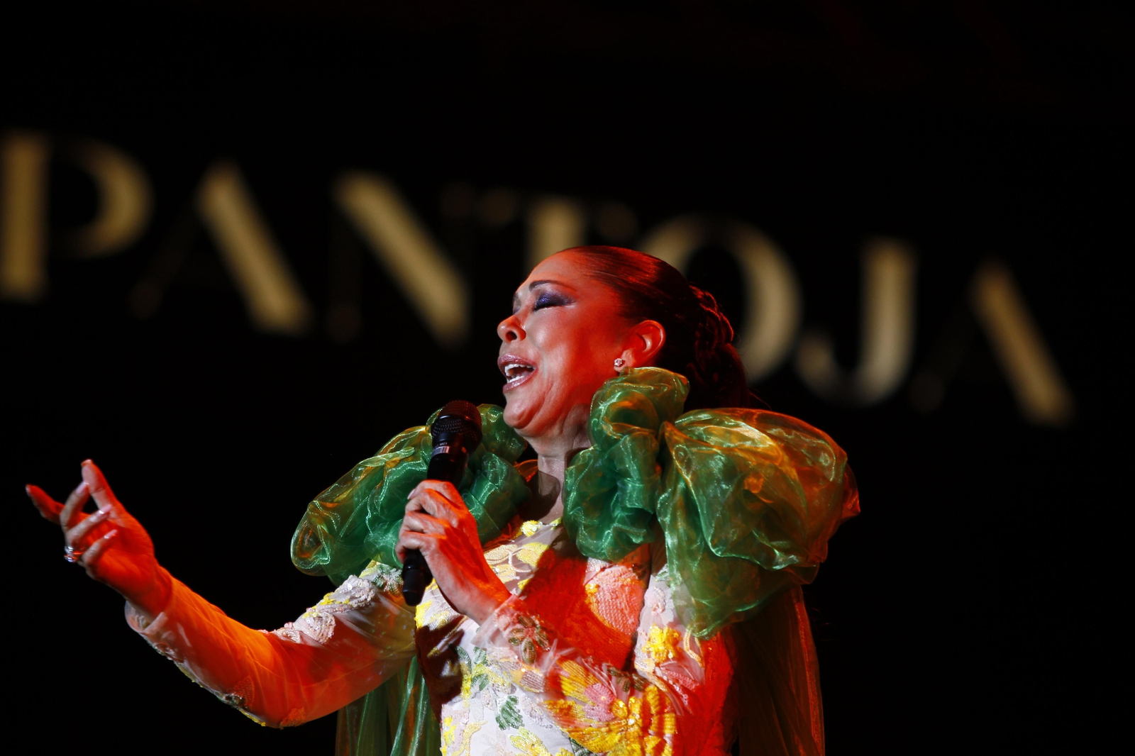Isabel Pantoja cautiva al público de Almería en la plaza de toros