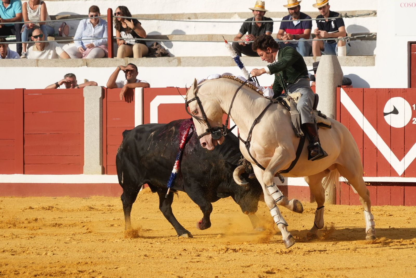 El triunfo del rejoneador Guillermo Hermoso de Mendoza en Pozoblanco, en imágenes