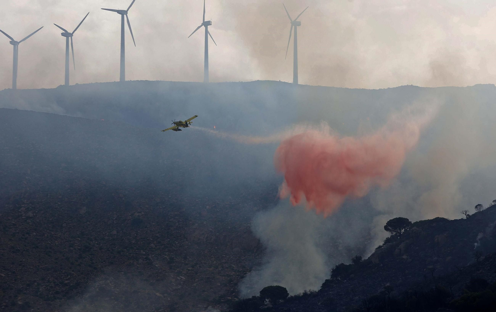 Incendio forestal de Tarifa.