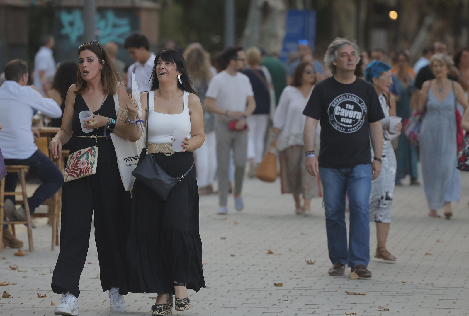 Búscate entre las fotos del concierto de Ana Torroja