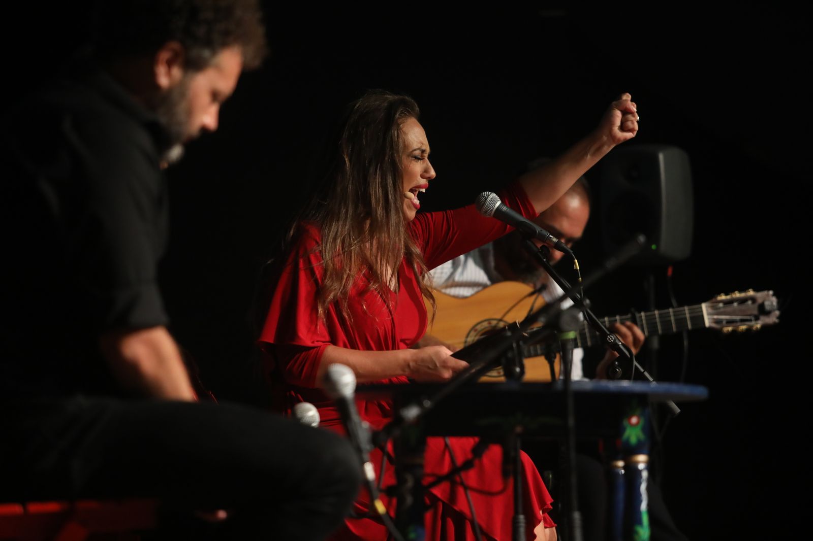 La noche flamenca en el Parque de San Fernando, en imágenes