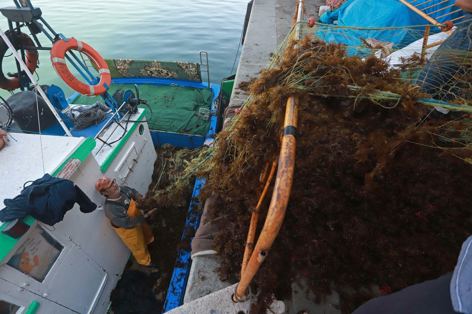 Uno de los tripulantes ayuda a izar las redes plagadas de algas.