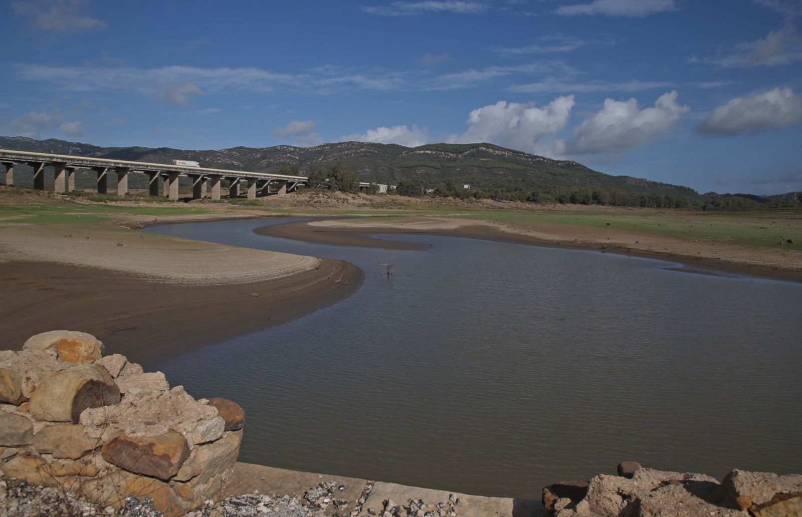 Imágenes del pantano de Charco Redondo en Los Barrios