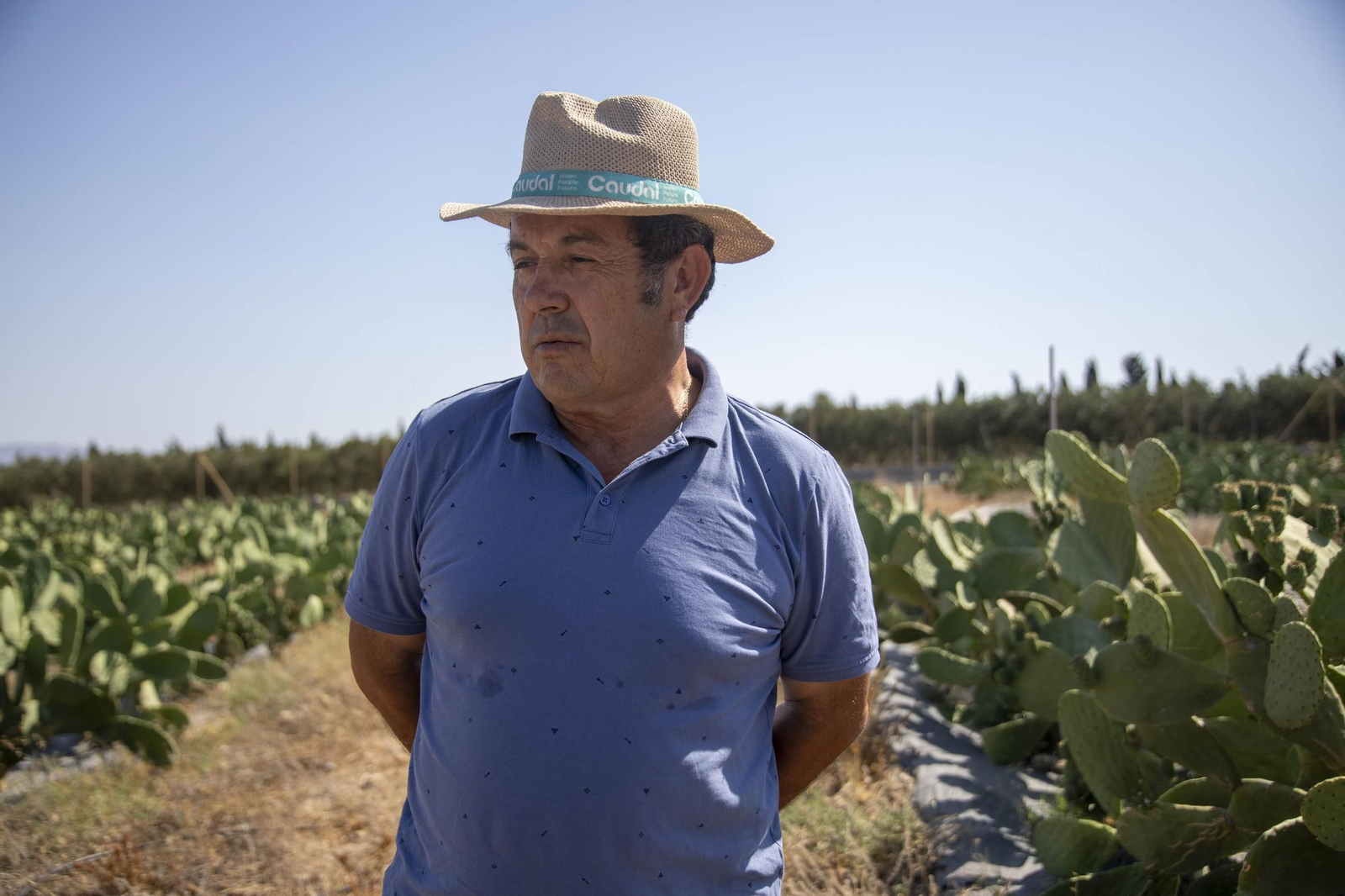 Plantación de chumbos de Níjar
