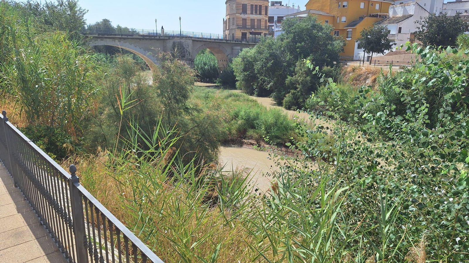 Ribera del Genil en Puente Genil. Ribera del Genil en Puente Genil.