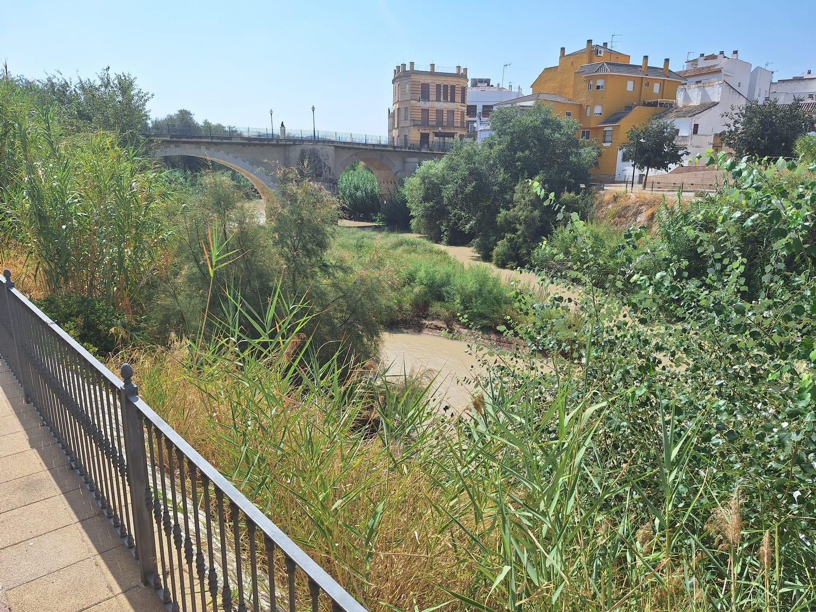 Ribera del Genil en Puente Genil.