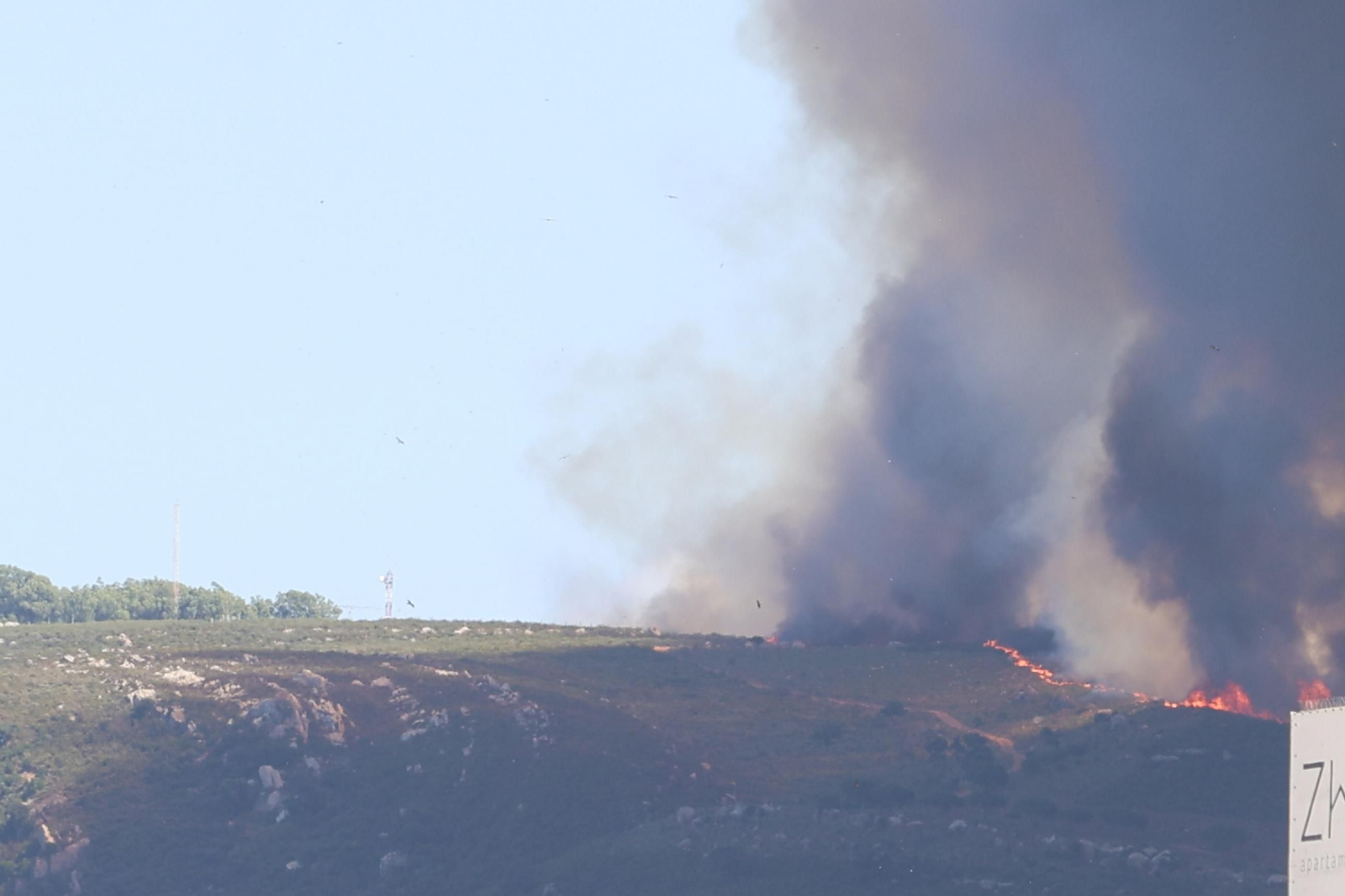 Las fotos del incendio forestal en la Sierra de la Plata de Tarifa