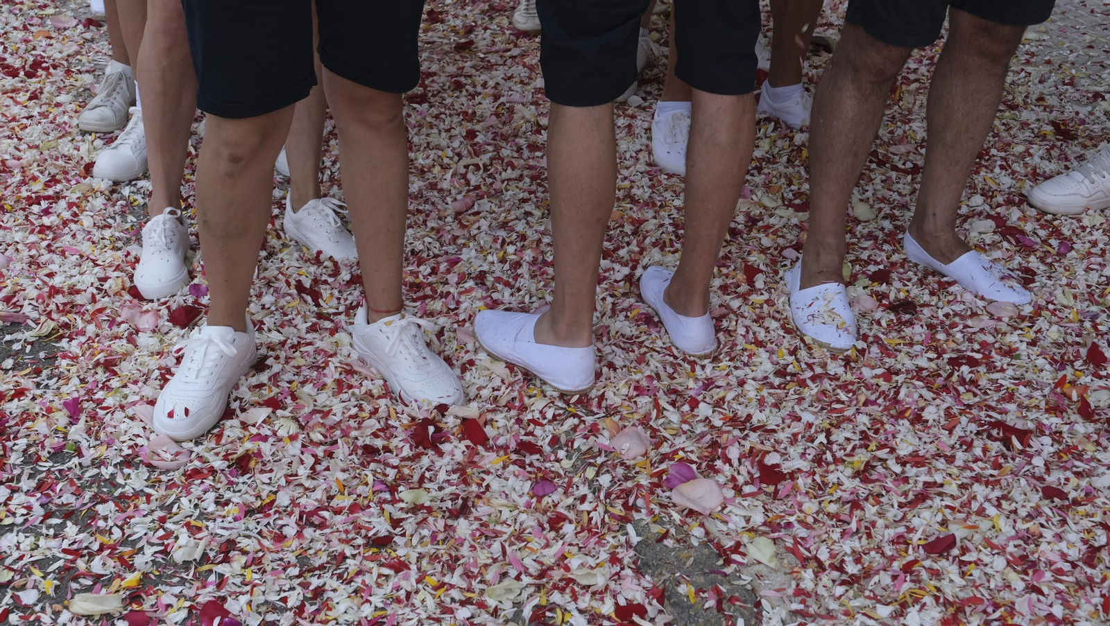 La procesión marítima de la Virgen del Carmen en Aguadulce, en imágenes