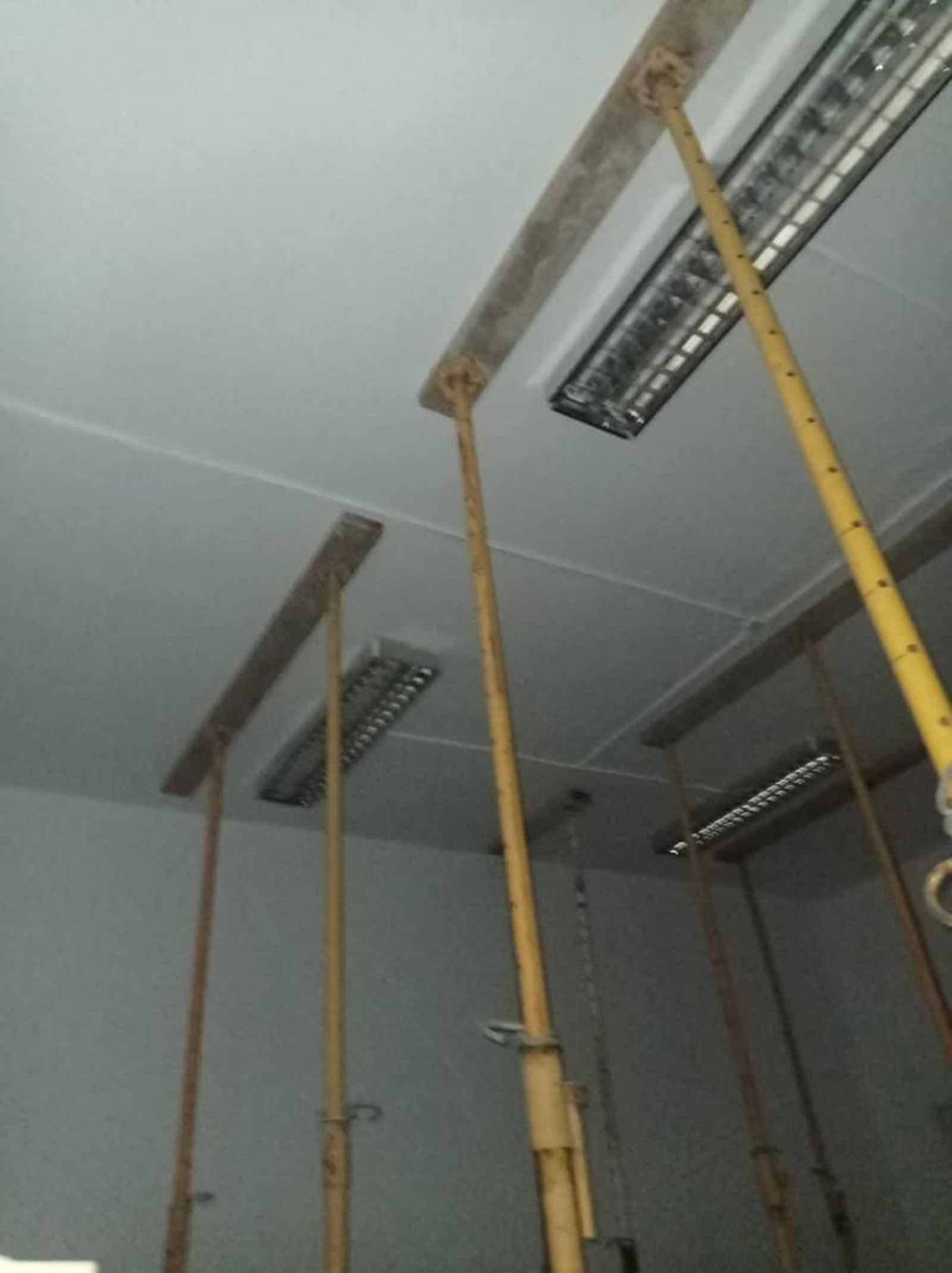 Imágenes del colegio Domingo Lozano