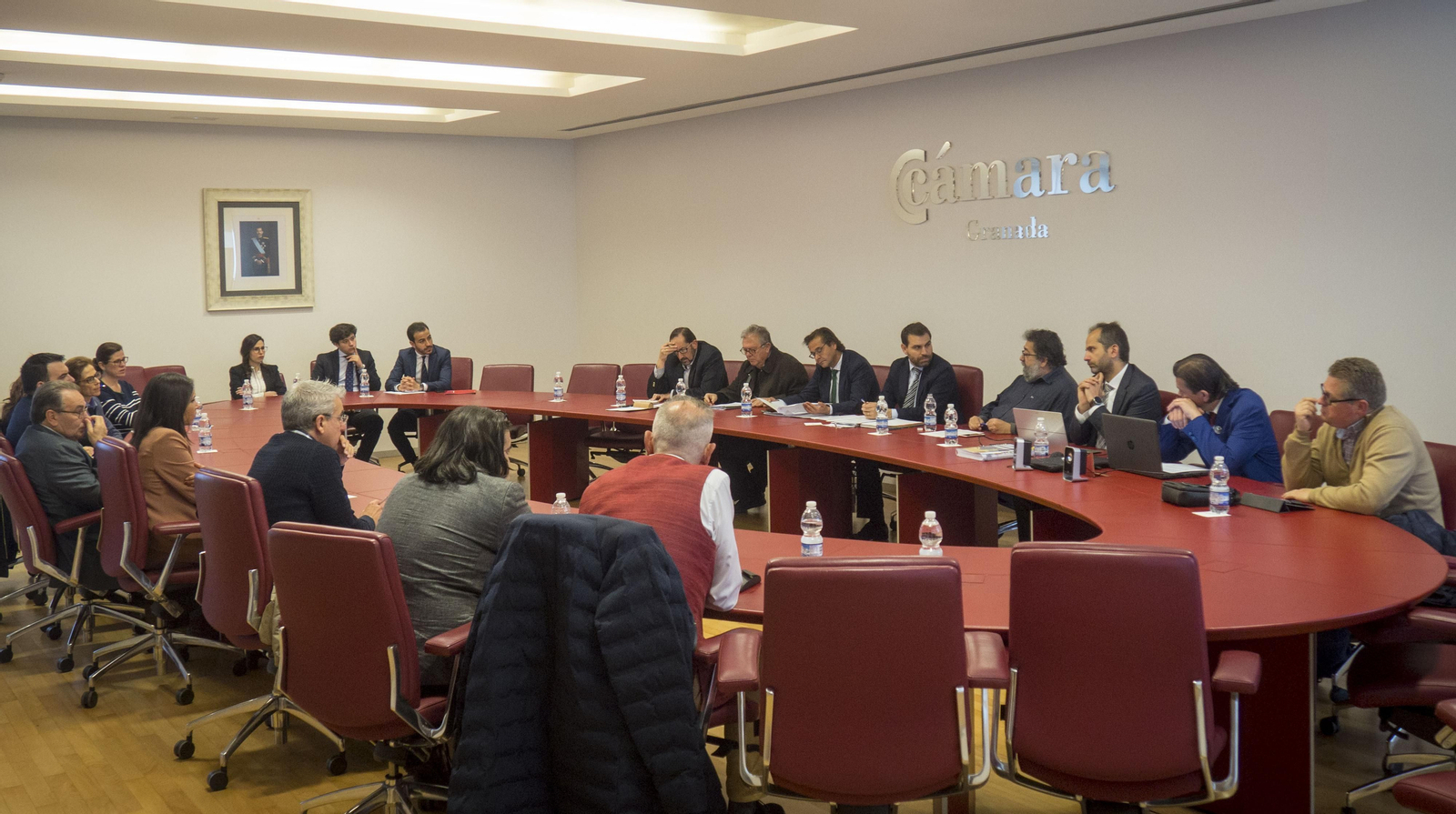 Imagen de la reunión en la Cámara Granada.
