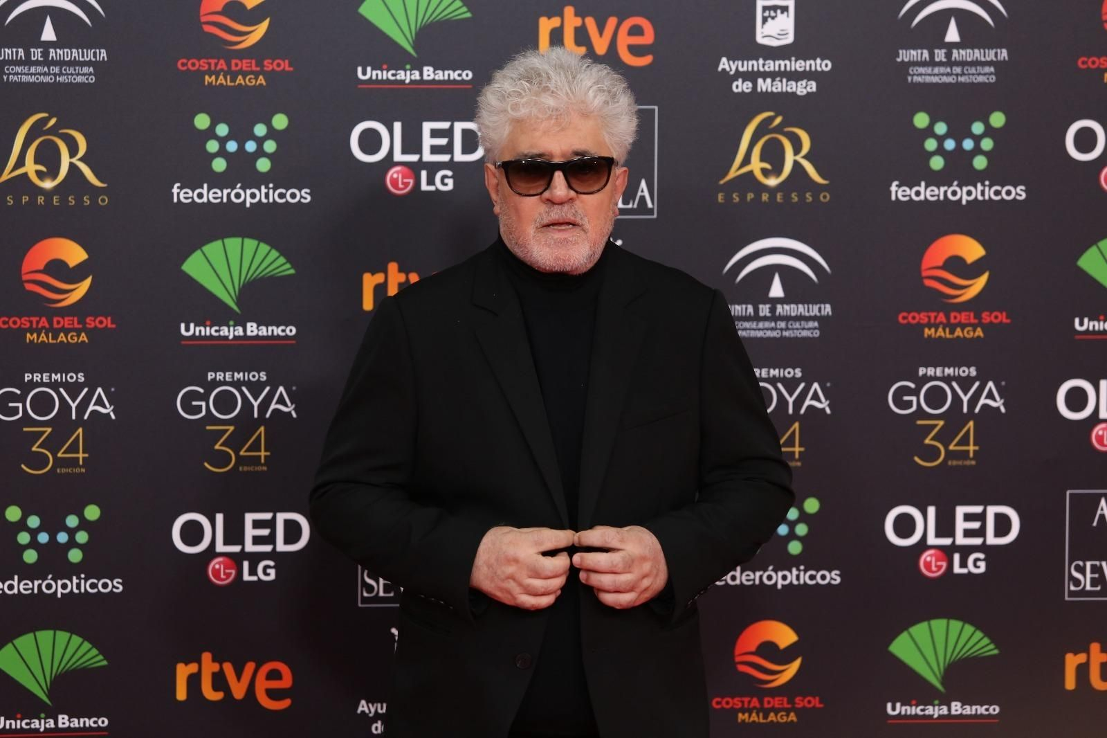 La alfombra roja de los Goya 2020 en Málaga