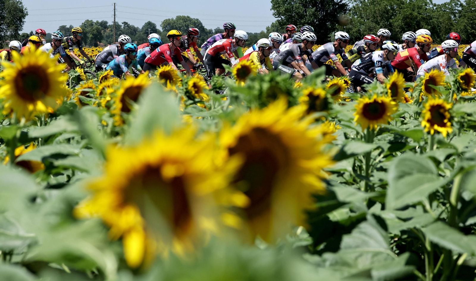 Las mejores fotos del Tour de Francia | Etapa 11
