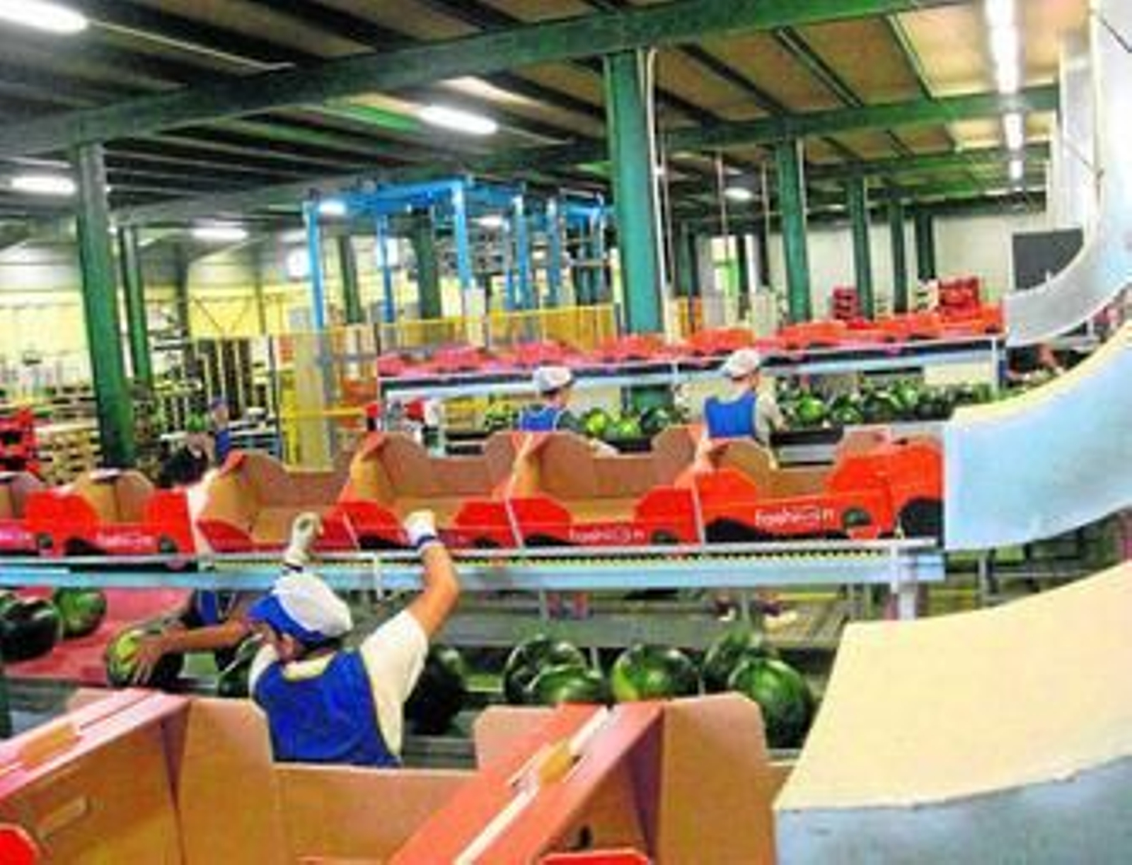 Centro de manipulación y envasado de Agrícola Navarro de Haro.