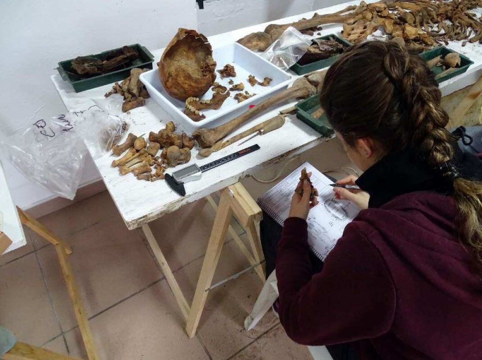 Trabajos de laboratorio en el cementerio de Villamartín.