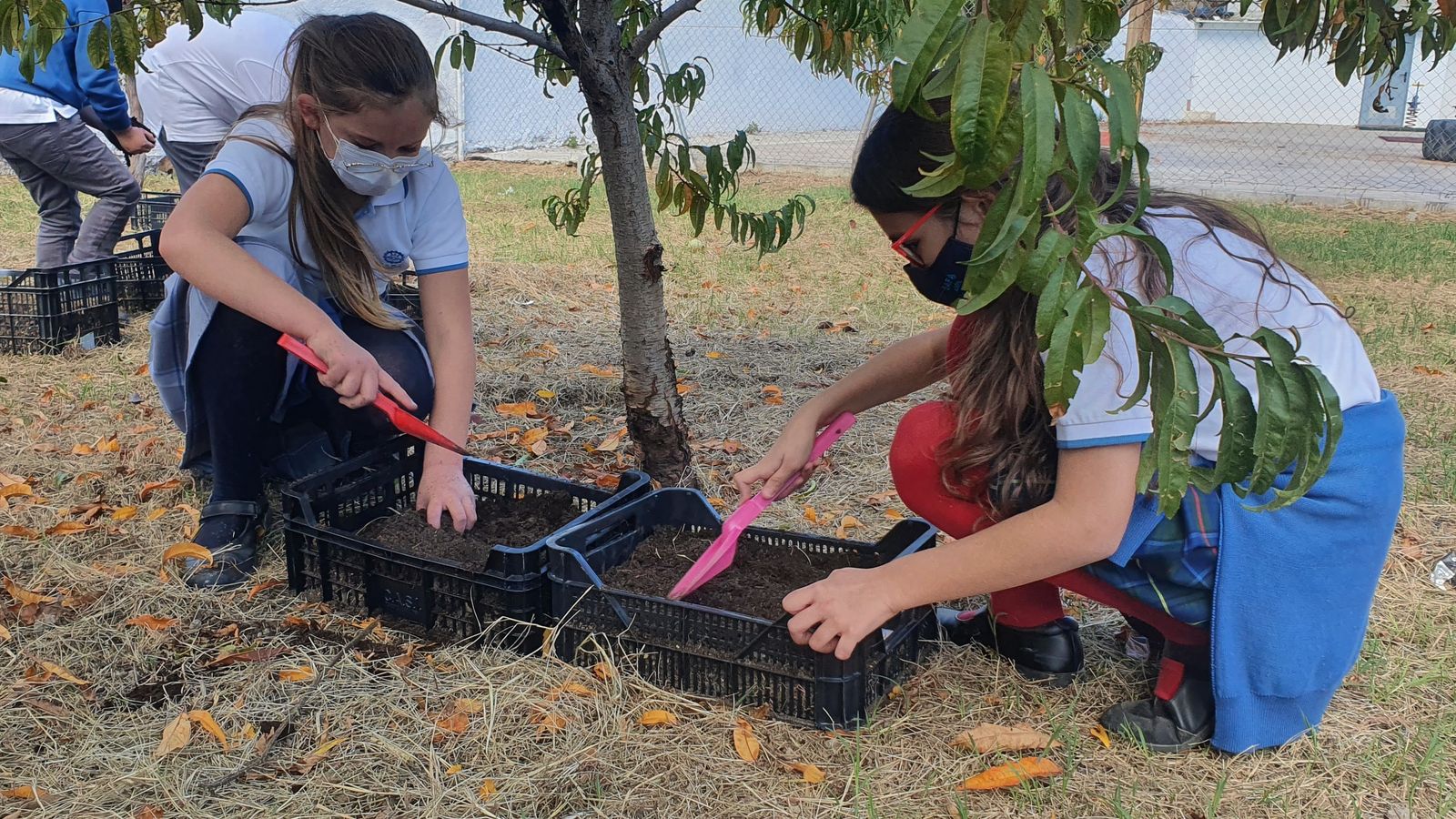 Proyectos Educativos (Huerto Ecoloėgico).