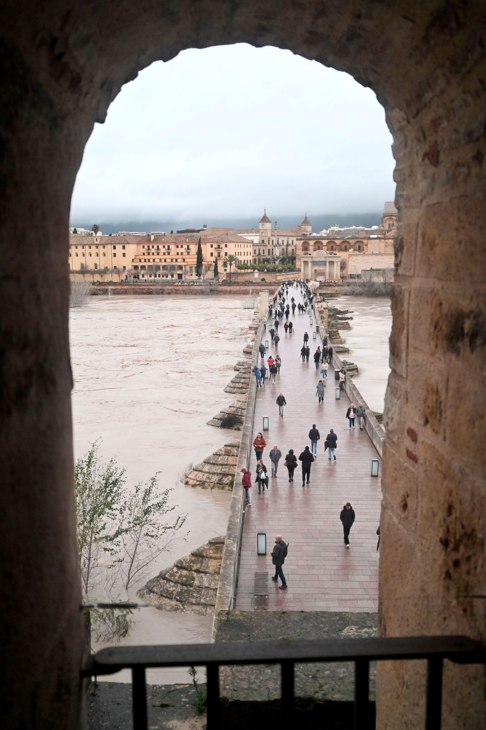 La impresionante crecida del río Guadalquivir: se acerca a los 6 metros a su paso por Córdoba