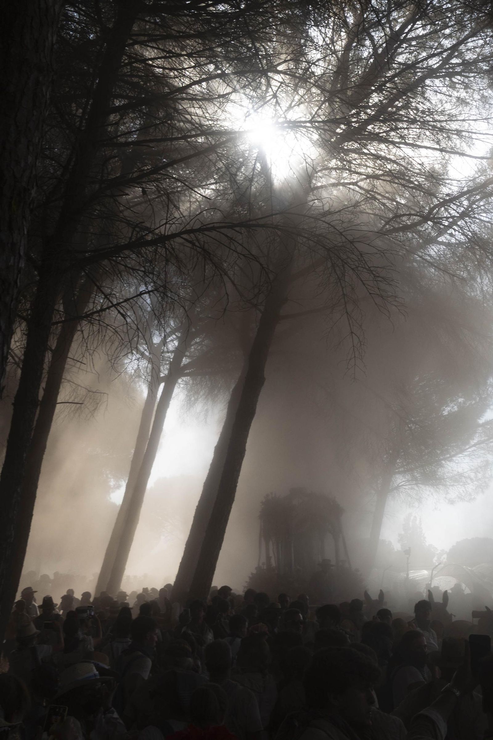 Las mejores imágenes de la Hermandad del Rocío de Huelva