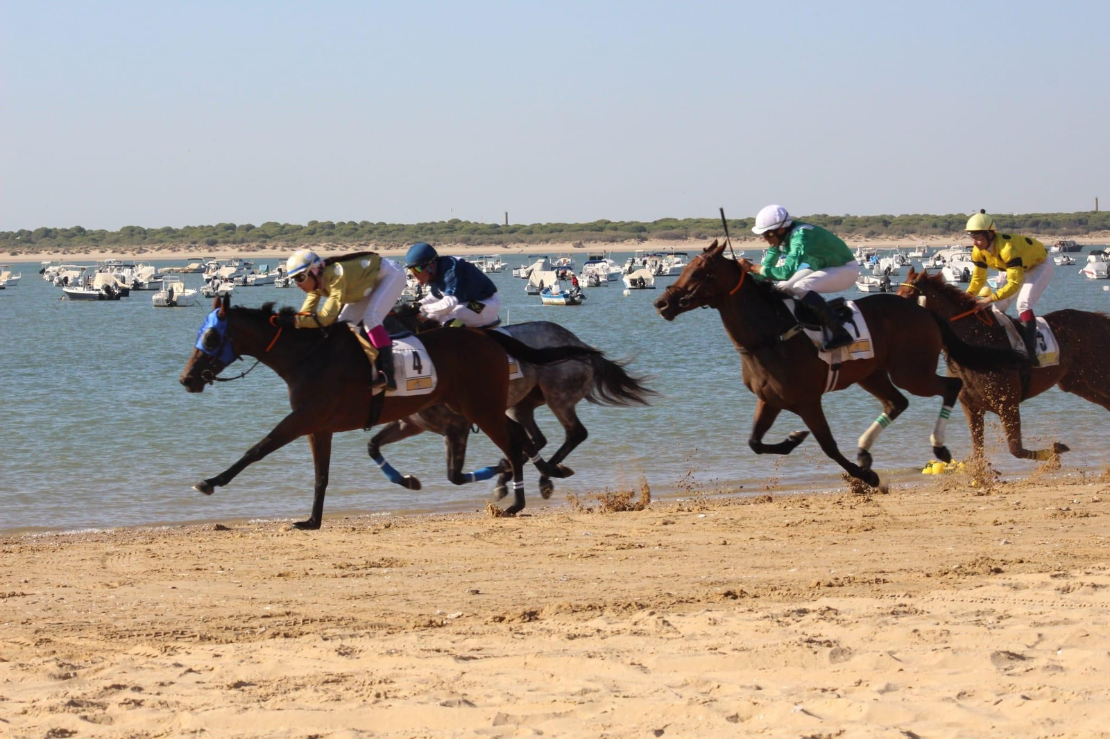 Imágenes del segundo día de Carreras de Caballos de Sanlúcar Imágenes del segundo día de Carreras de Caballos de Sanlúcar