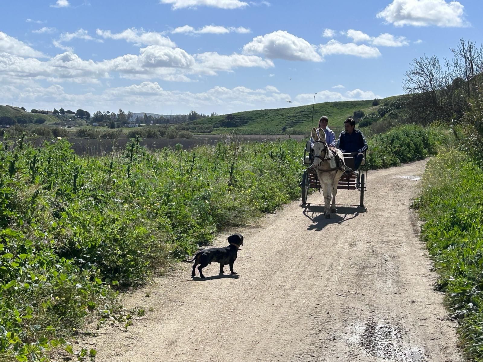 Sendero a las afueras de Jerez imperdible: una venta que da la bienvenida y culmina en una laguna