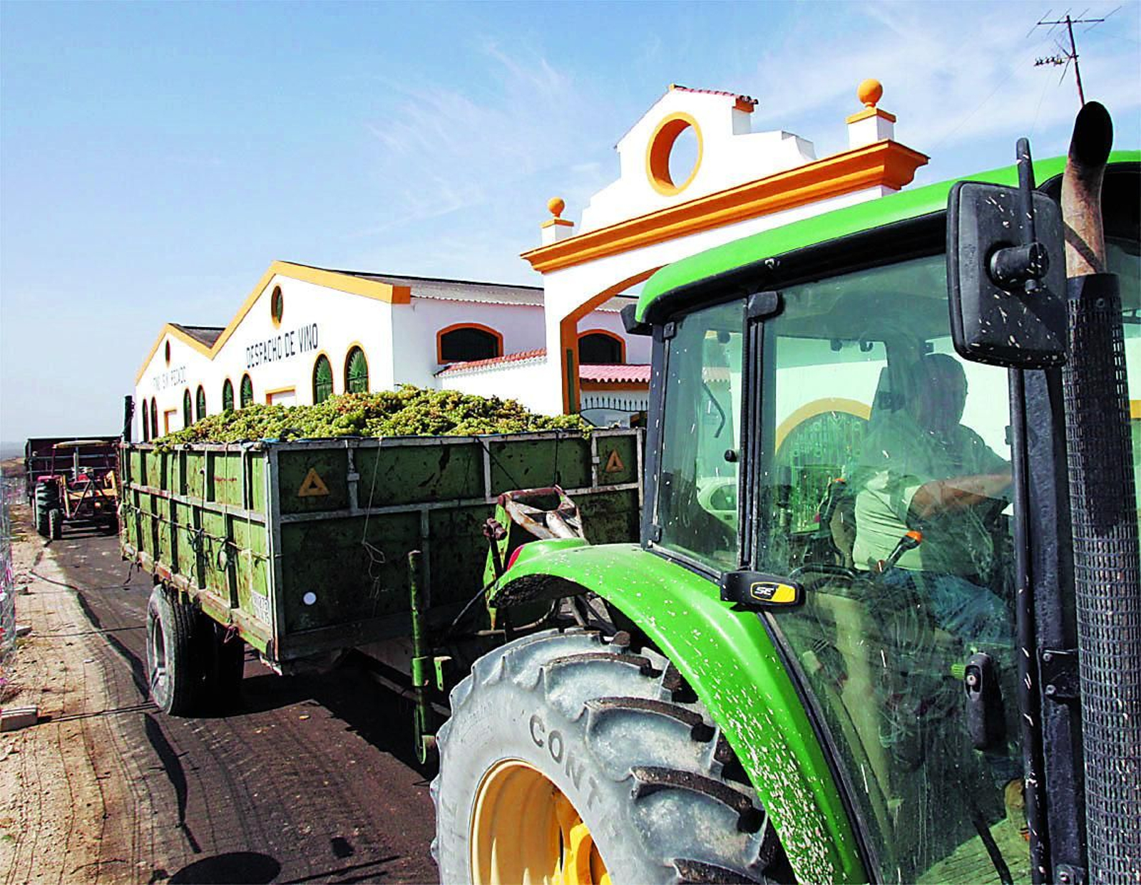 Tractores transportan remolques cargados de uva para su entrega en la cooperativa de Jerez durante la vendimia. Tractores transportan remolques cargados de uva para su entrega en la cooperativa de Jerez durante la vendimia.