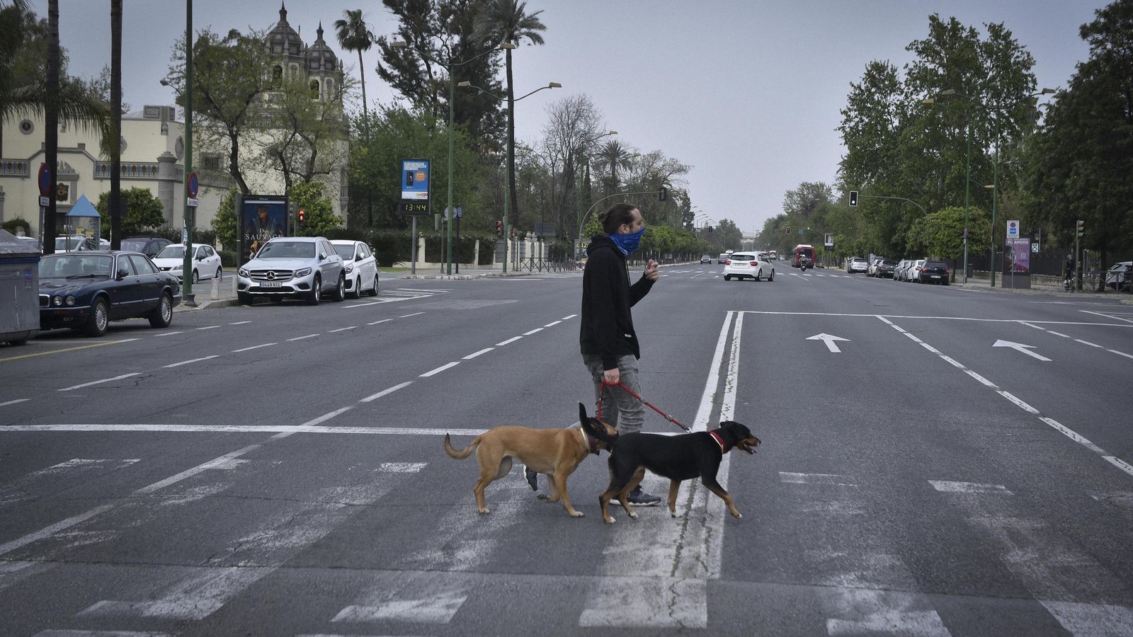 Un ciudadano cruza con sus perros por la avenida de la Palmera, sin apenas circulación, este jueves.