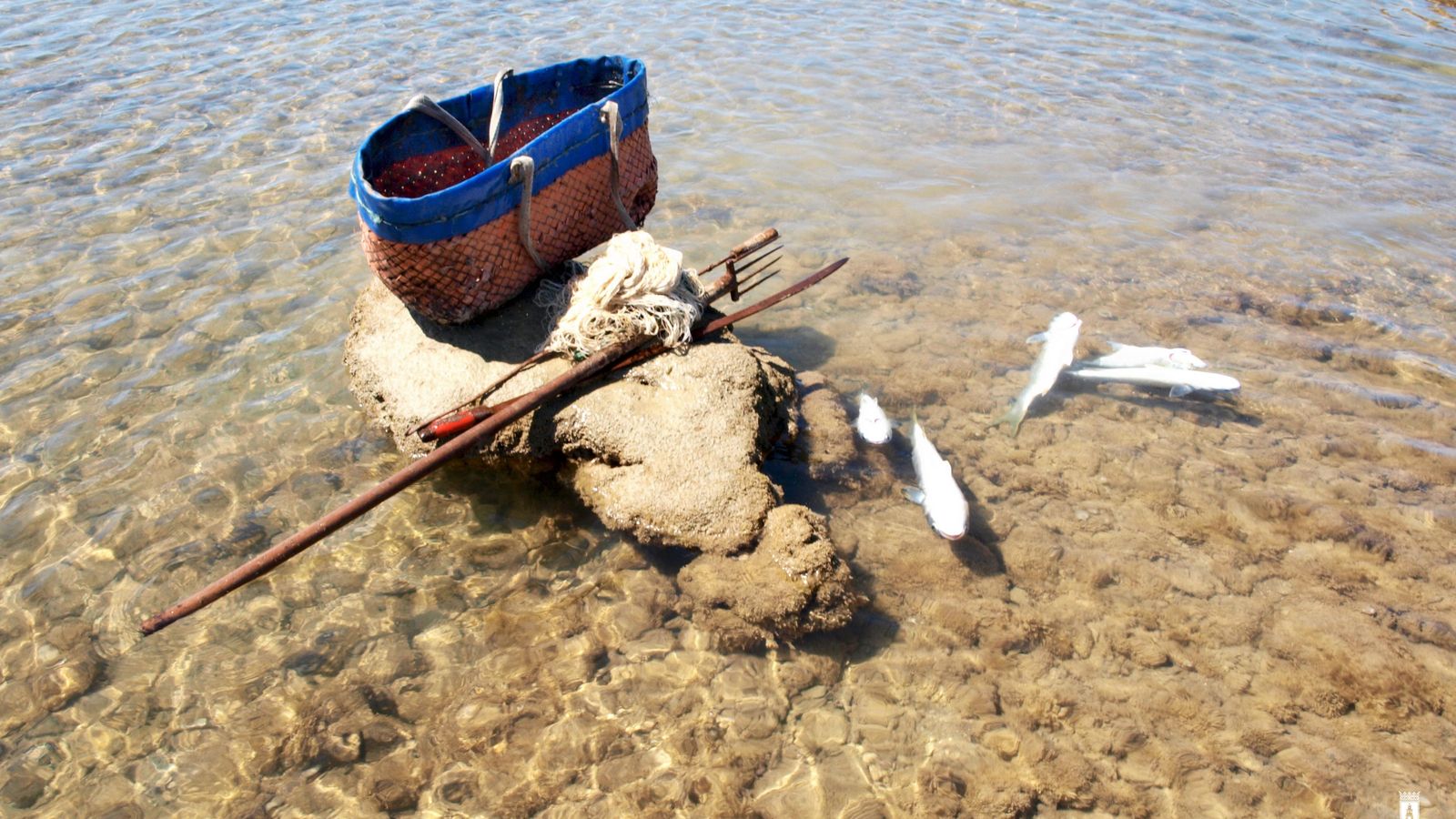Peces y aperos para la pesca en los corrales.