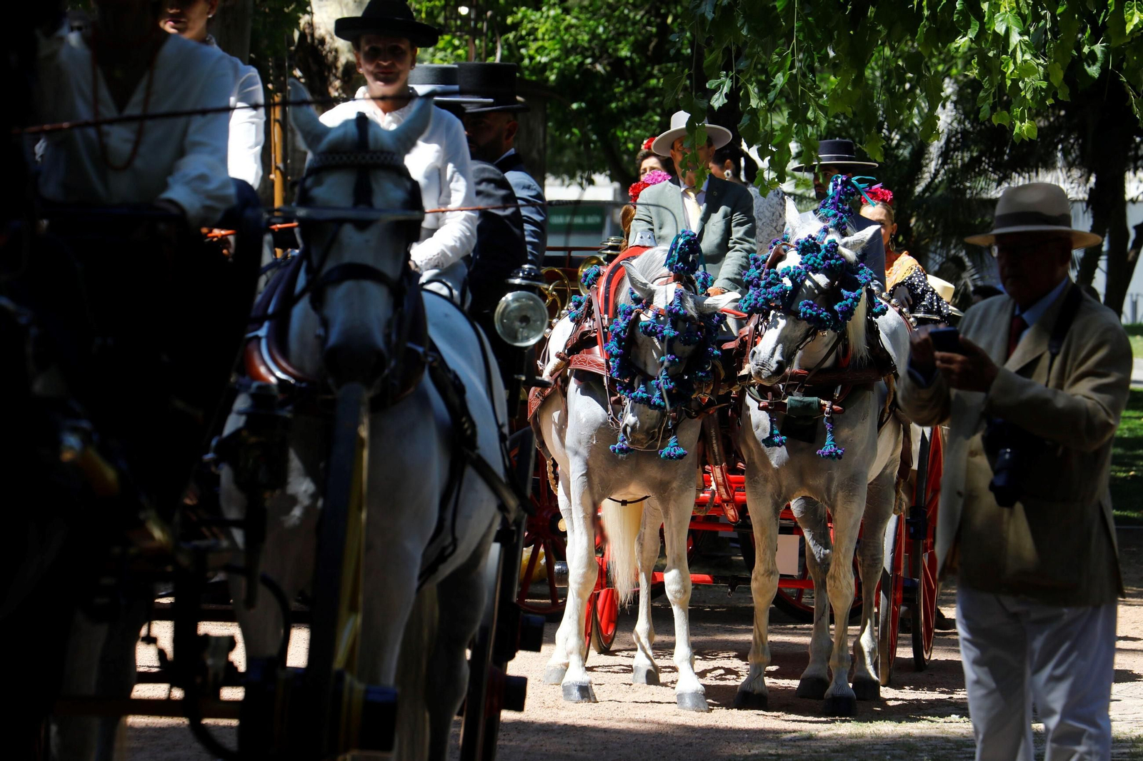 La exhibición de carruajes de tradición Nuestra Señora de la Salud, en imágenes