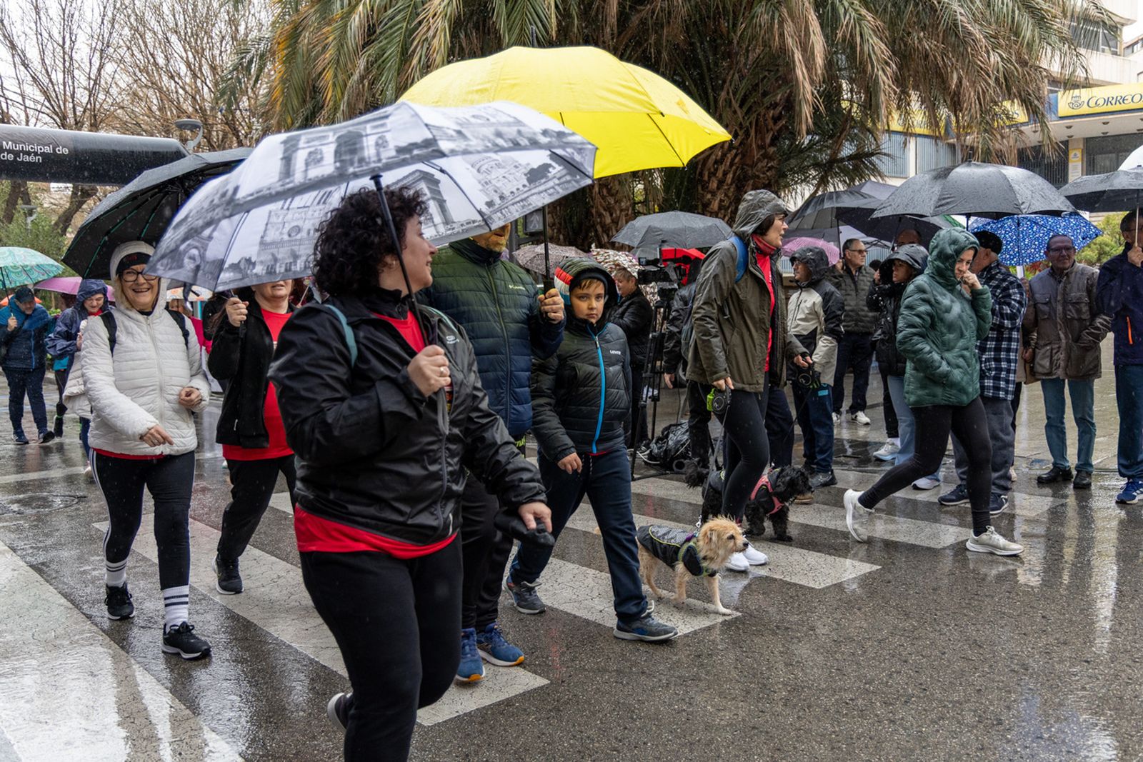 En imágenes: la lluvia no frena a más de un millar de corredores en la V Carrera Popular del IES San Juan Bosco (1)