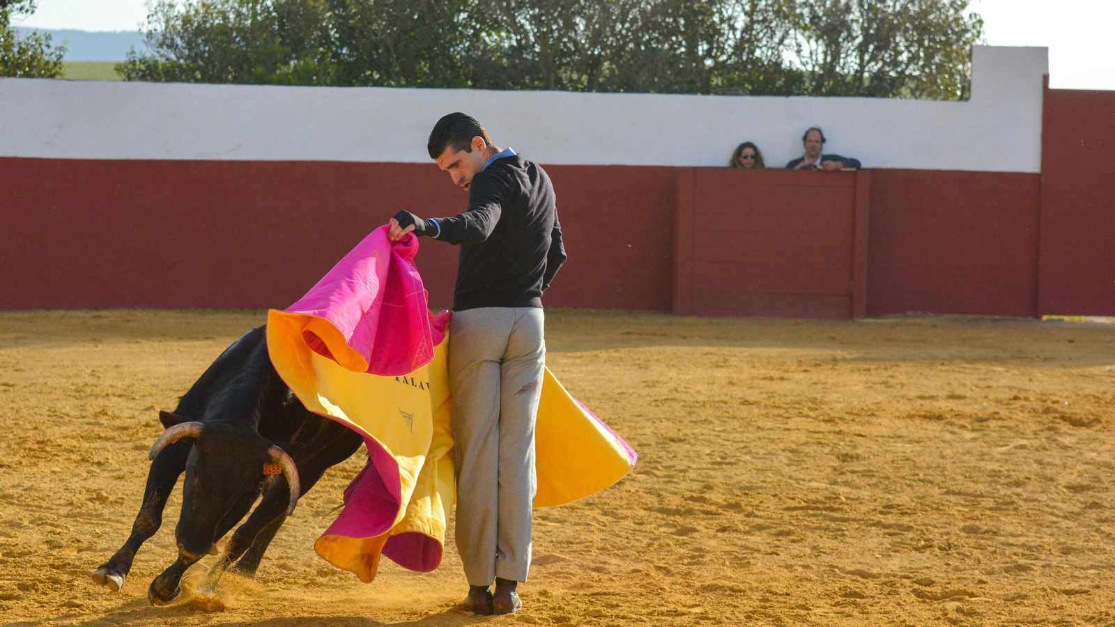Tentadero con Talavante en la finca La Palmosilla