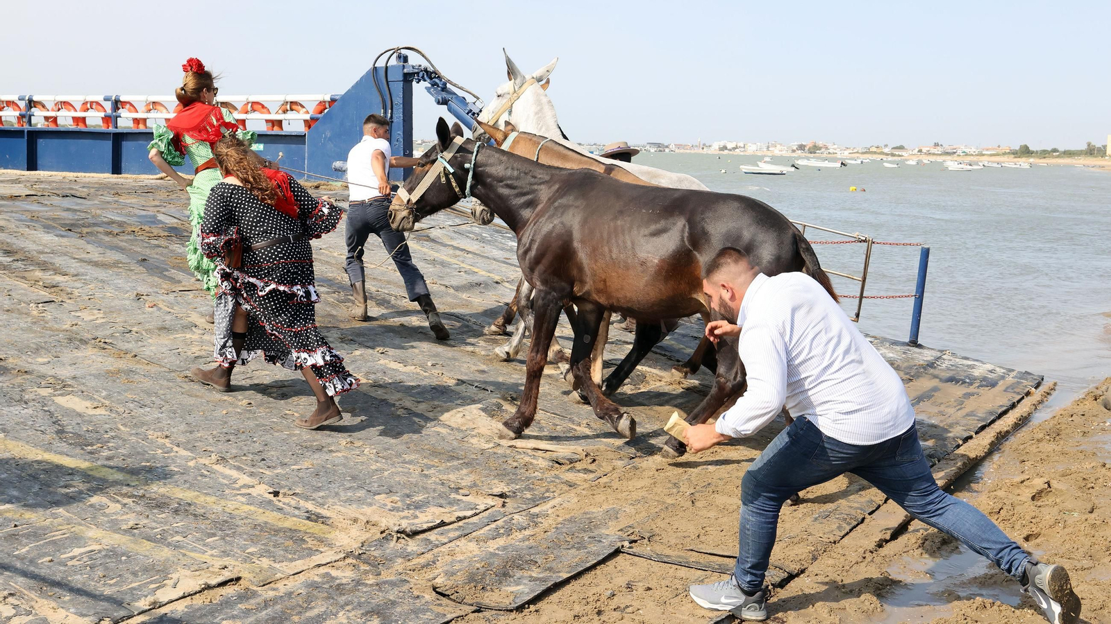 La Hdad del Rocío de Jerez de Bajo Guía a Doñana