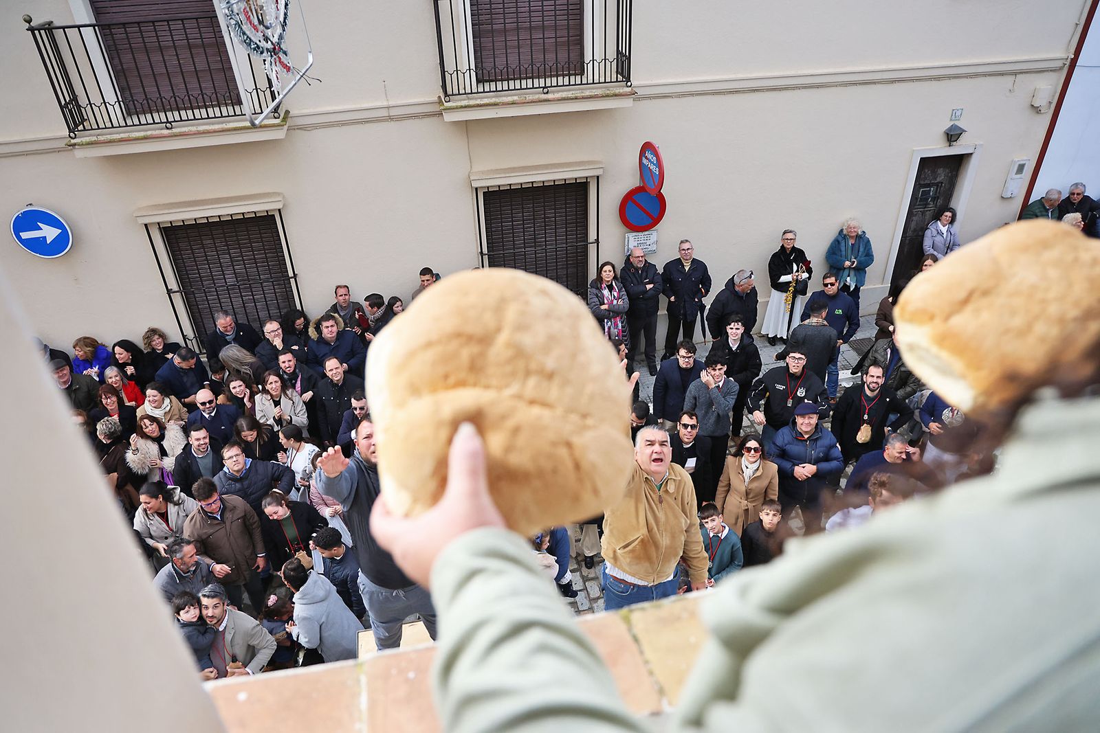Las mejores fotografías de las Tiradas a San Antonio Abad en Trigueros