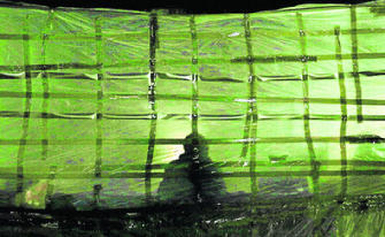 Un plástico sirve de cobijo a unos sintechos para protegerse del viento, el frío y la lluvia durante las noches de invierno.