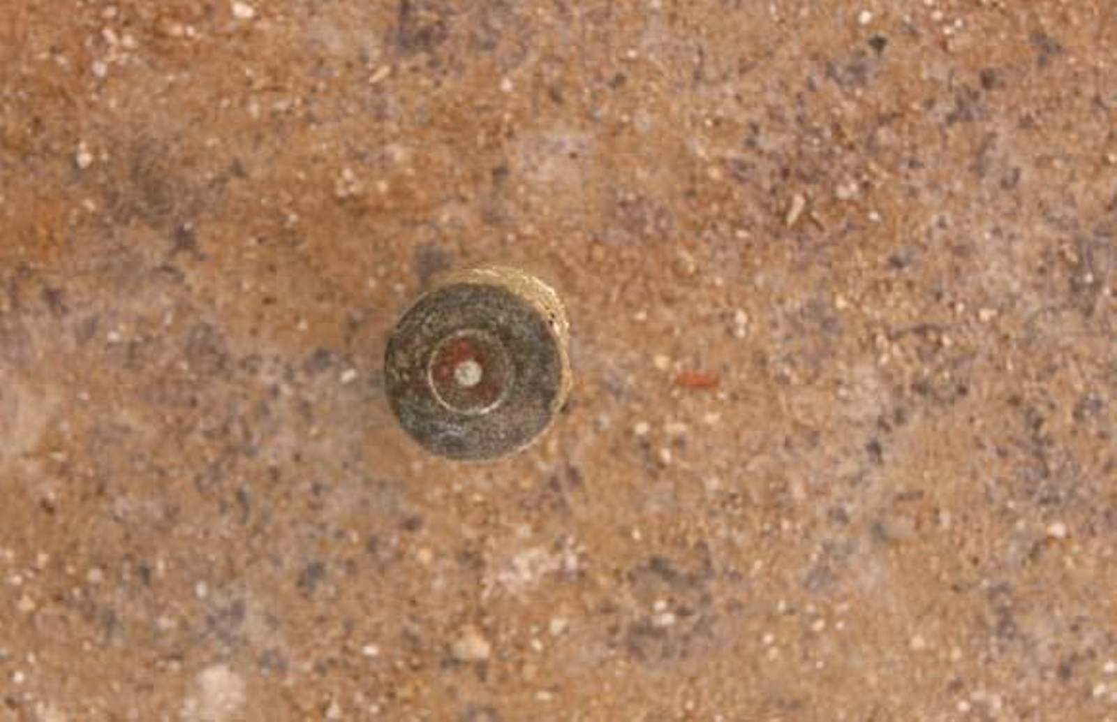 Hallan en Puerto Real una fosa con restos de más de cien fusilados durante la Guerra Civil

Foto: Borja Benjumeda