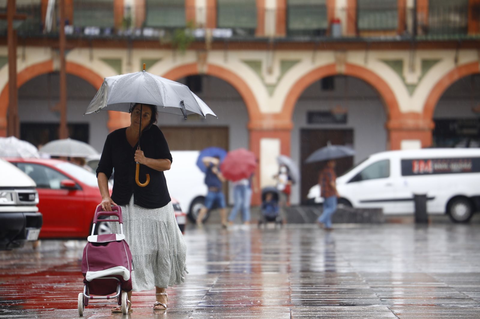 Córdoba vuelve a los días de lluvia en imágenes